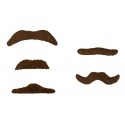 Zestaw Wąsów Brązowych 6 szt Elegant, Łobuz,Łajdak, Casanova,Playboy,Bandyta